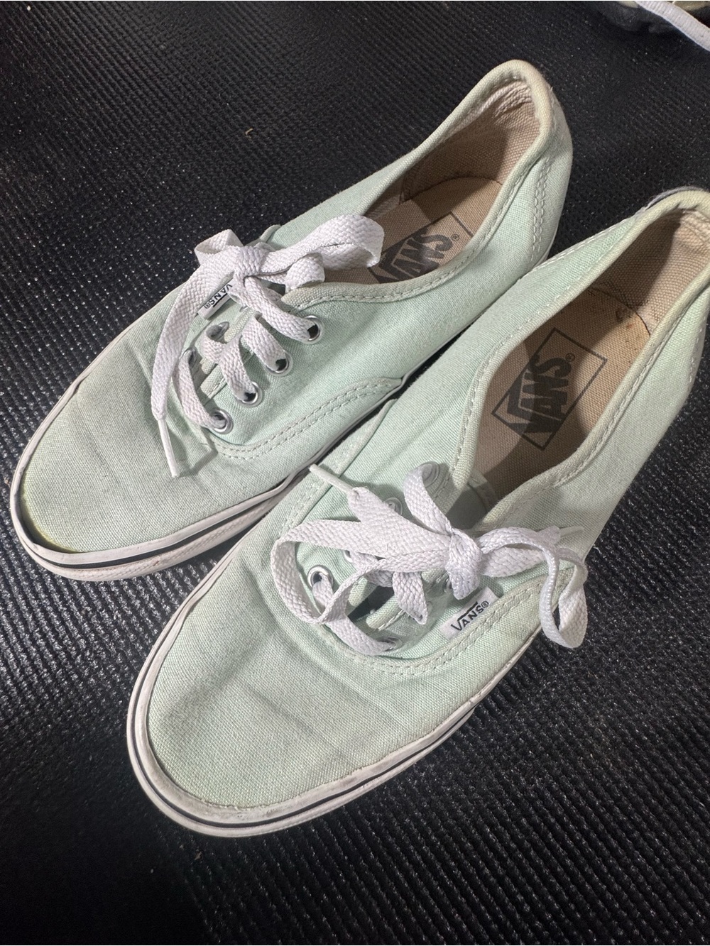 Vans Authentic Low-Top Sneakers in Mint Green